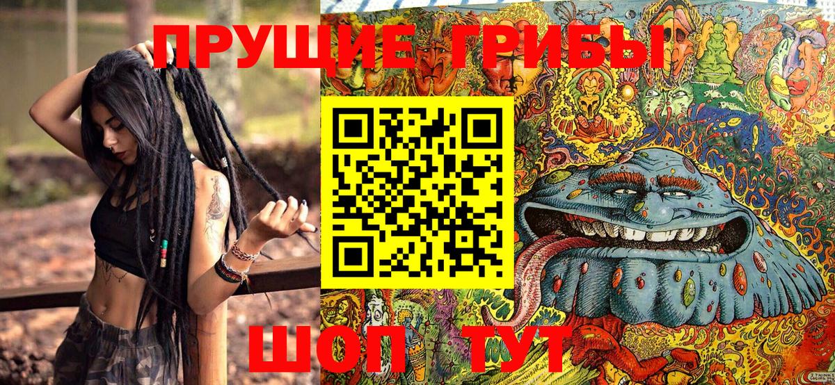 Галлюциногенные грибы MAGIC MUSHROOMS Казань
